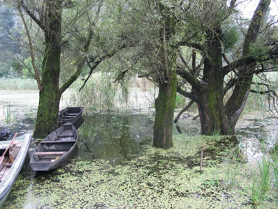 Gornje Podunavlje